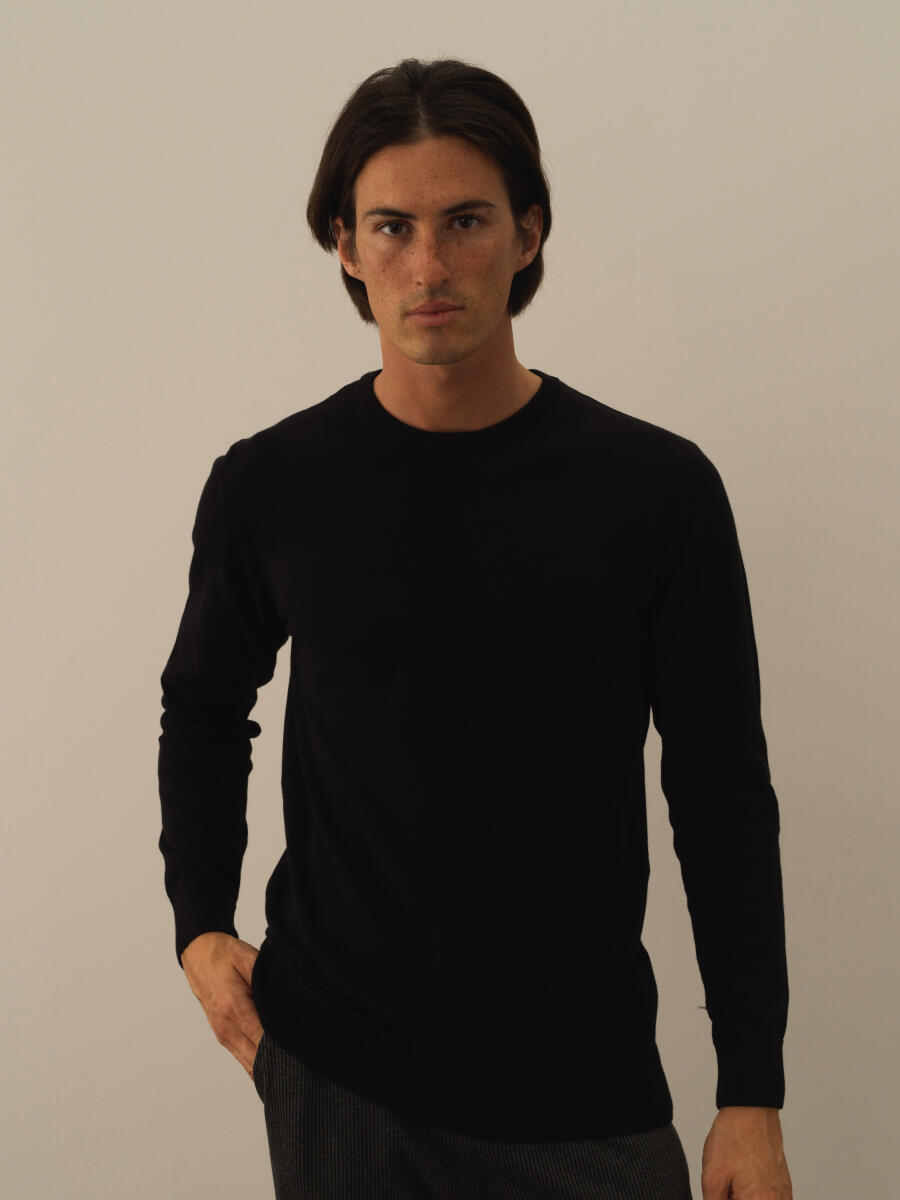 Cotton Crew Neck Regular Fit Basic Sweater