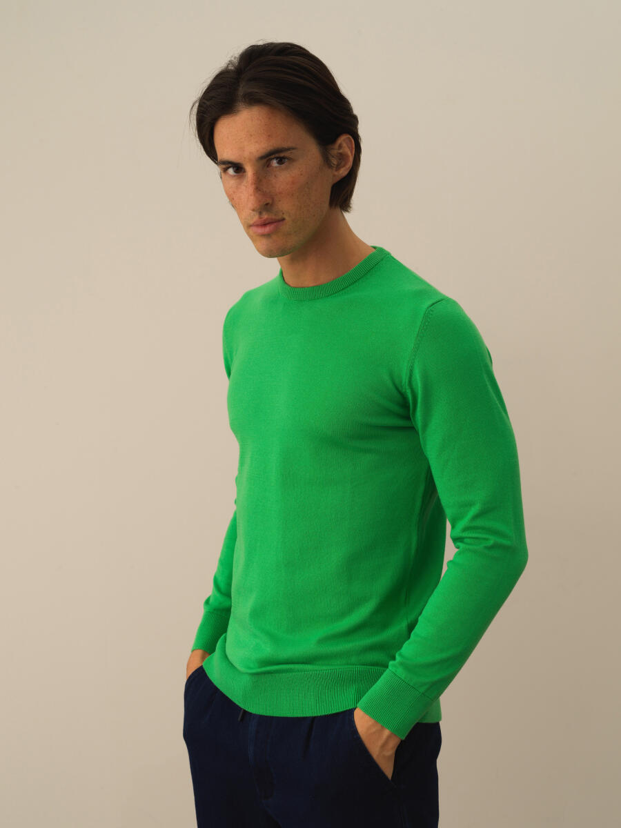 Cotton Crew Neck Regular Fit Basic Sweater