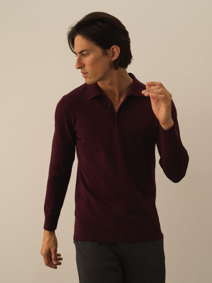 Cotton Polo Collar Regular Fit Basic Sweater - 1