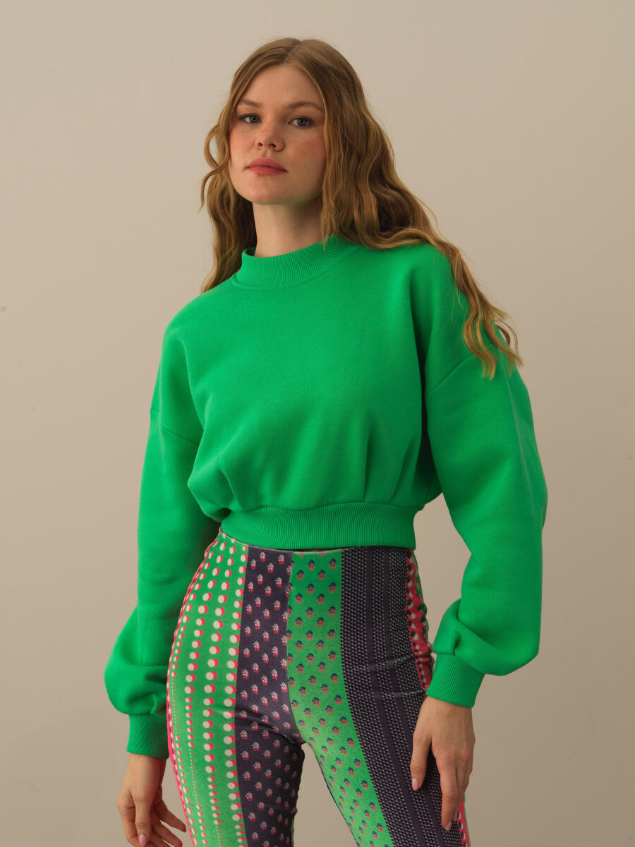 Cotton Regular Fit Back Printed Sweatshirt