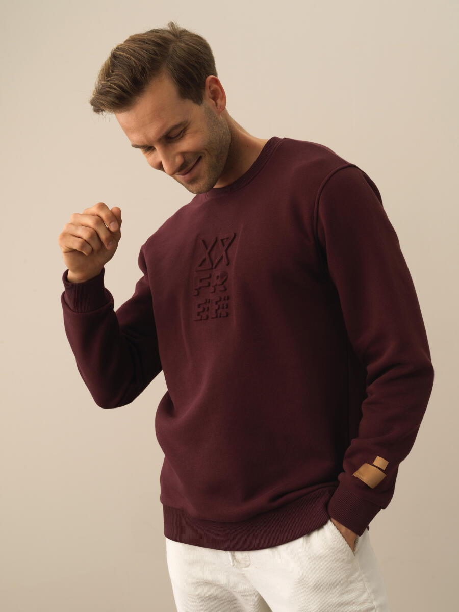 Cotton Regular Fit Gauffre Printed Sweatshirt