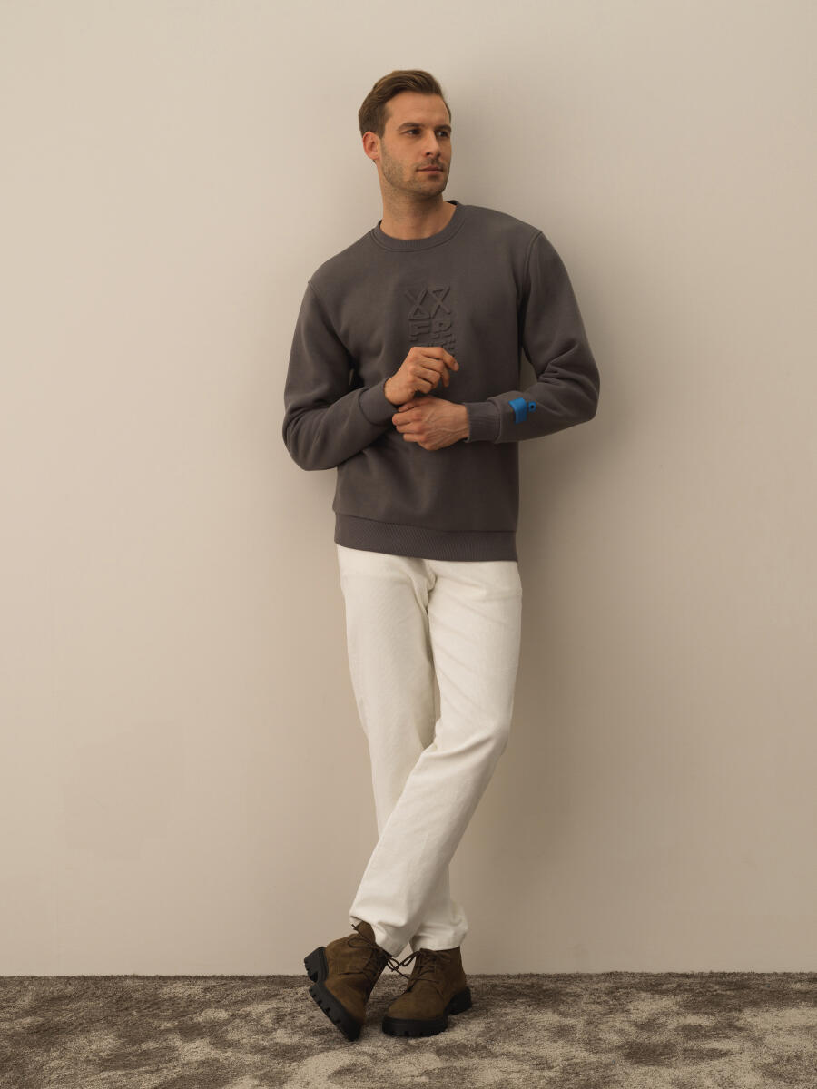 Cotton Regular Fit Gauffre Printed Sweatshirt - 2