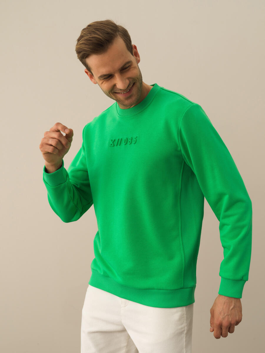 Cotton Regular Fit Gauffre Printed Sweatshirt - 3