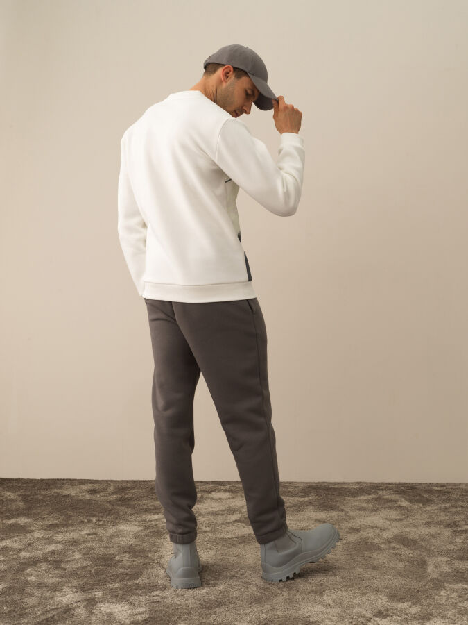 Ekru Regular Fit Bisiklet Yaka Pamuklu Sweatshirt - 4