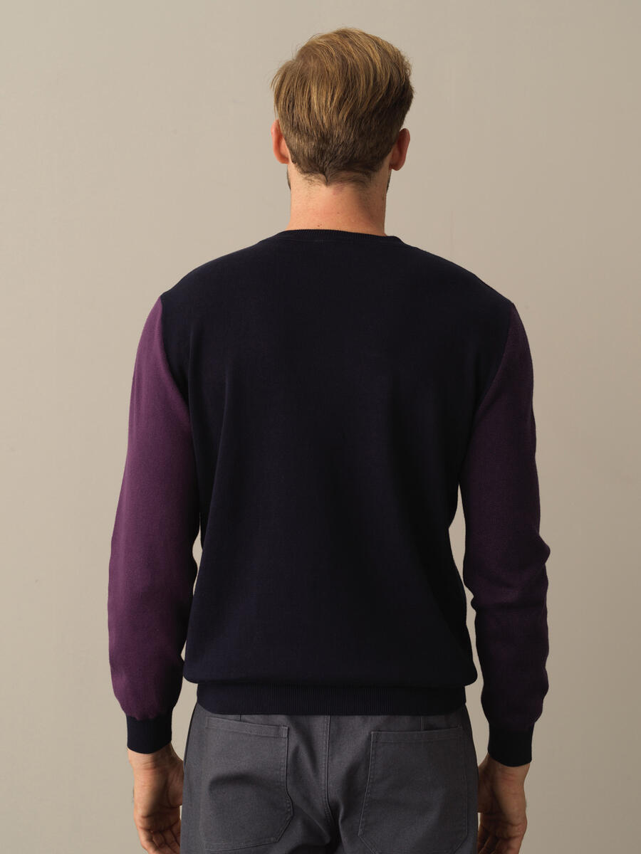 Cotton Regular Fit Patterned Sweater - 4