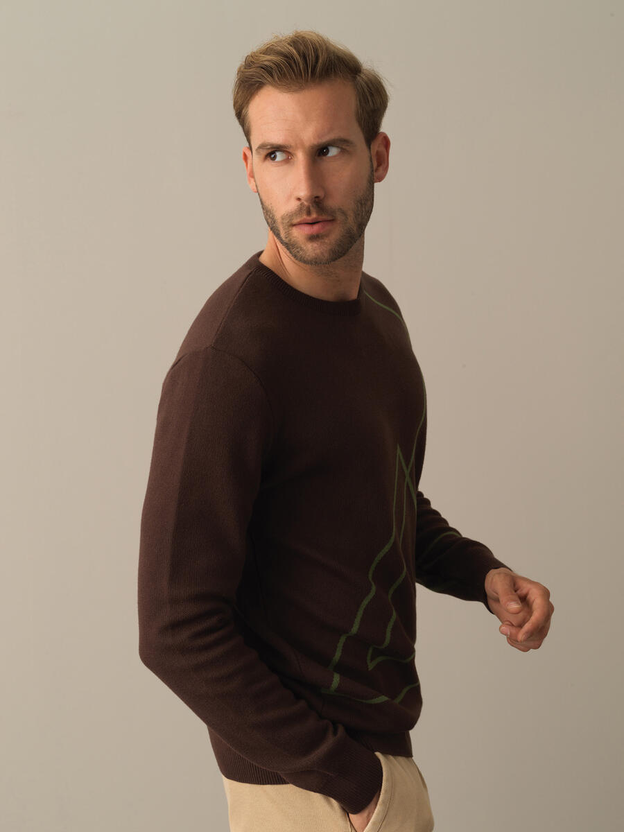 Cotton Regular Fit Patterned Sweater - 3