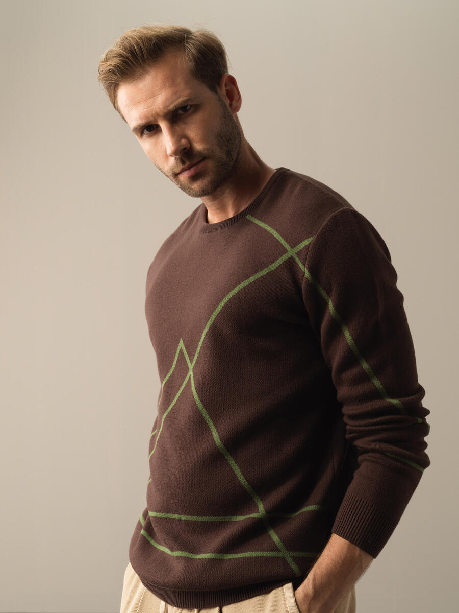 Cotton Regular Fit Patterned Sweater