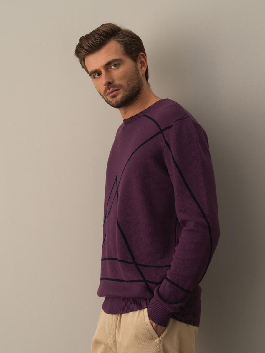 Cotton Regular Fit Patterned Sweater - 3