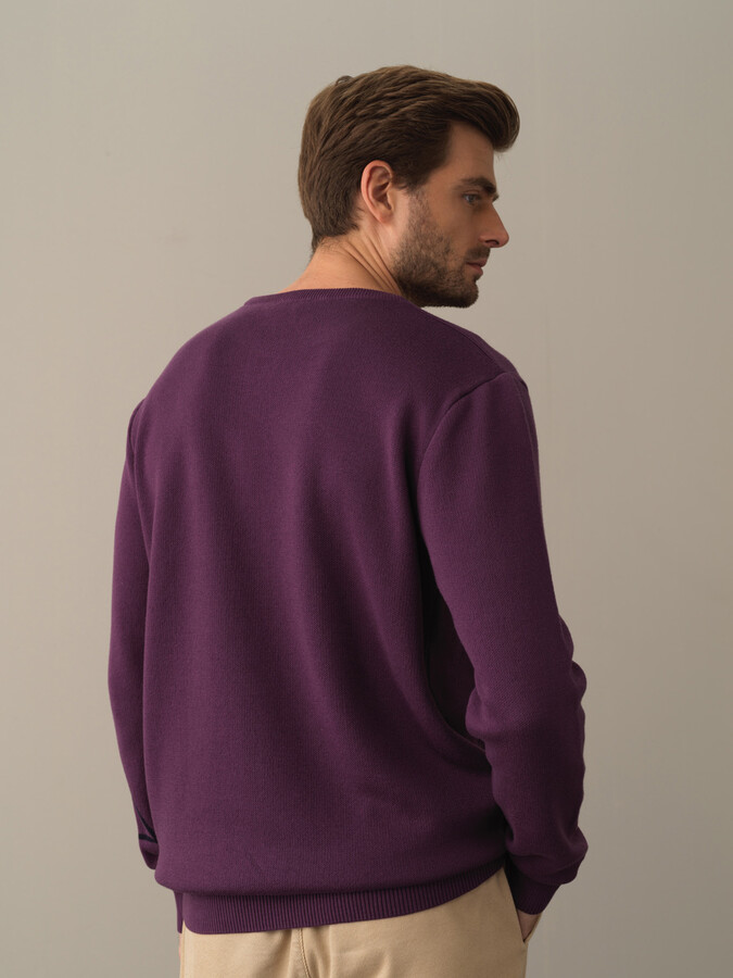 Cotton Regular Fit Patterned Sweater - Xint