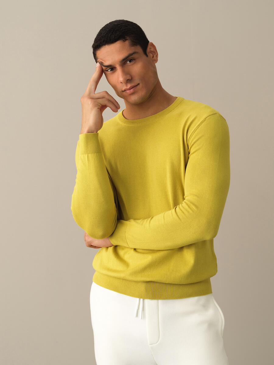 Crew Neck Cotton Regular Fit Basic Sweater - 1