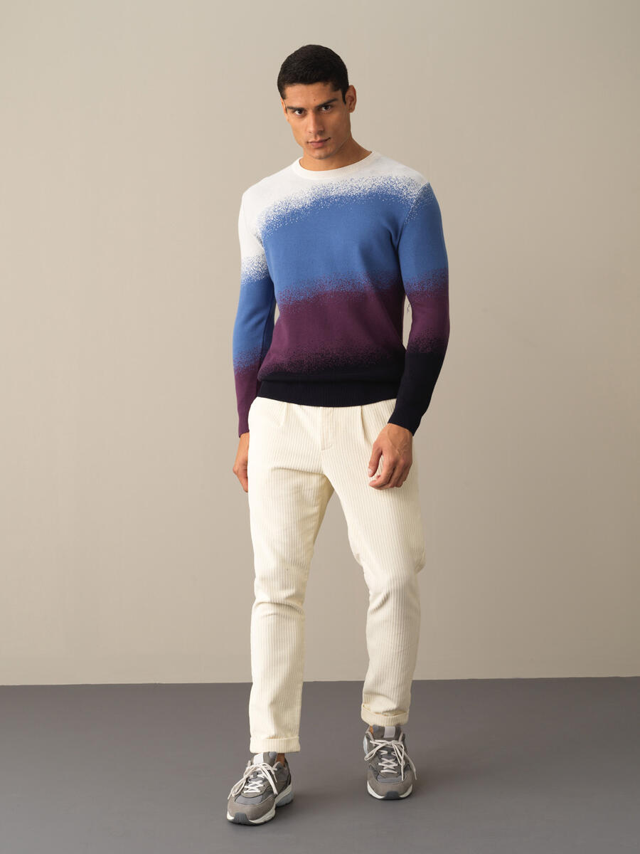Crew Neck Cotton Regular Fit Sweater - 2