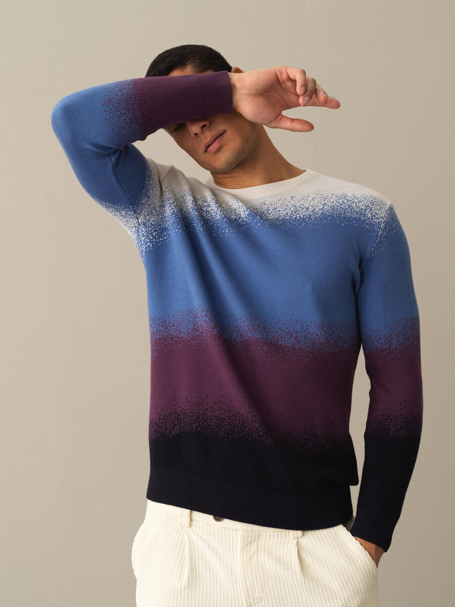 Crew Neck Cotton Regular Fit Sweater - 1