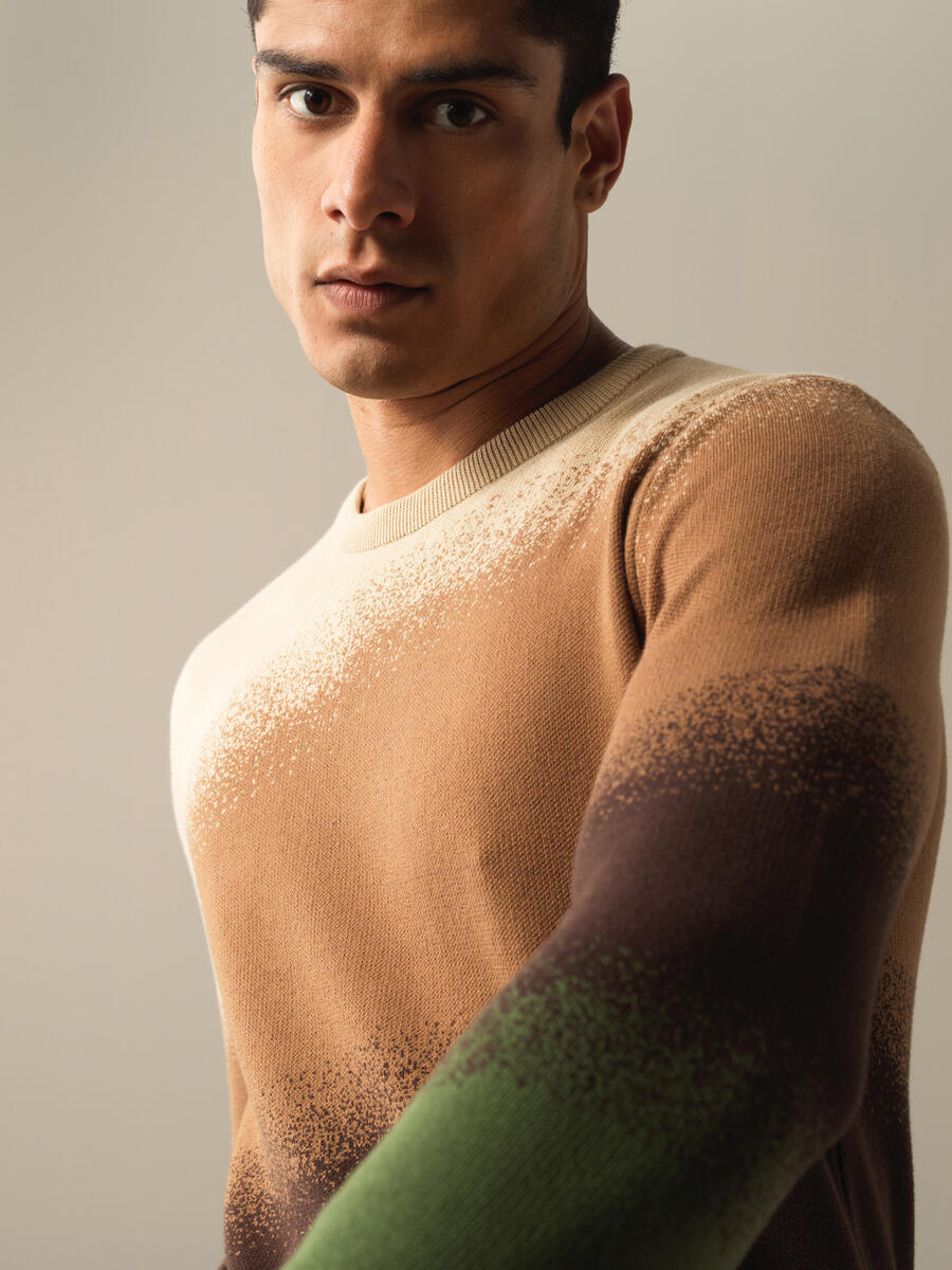 Crew Neck Cotton Regular Fit Sweater