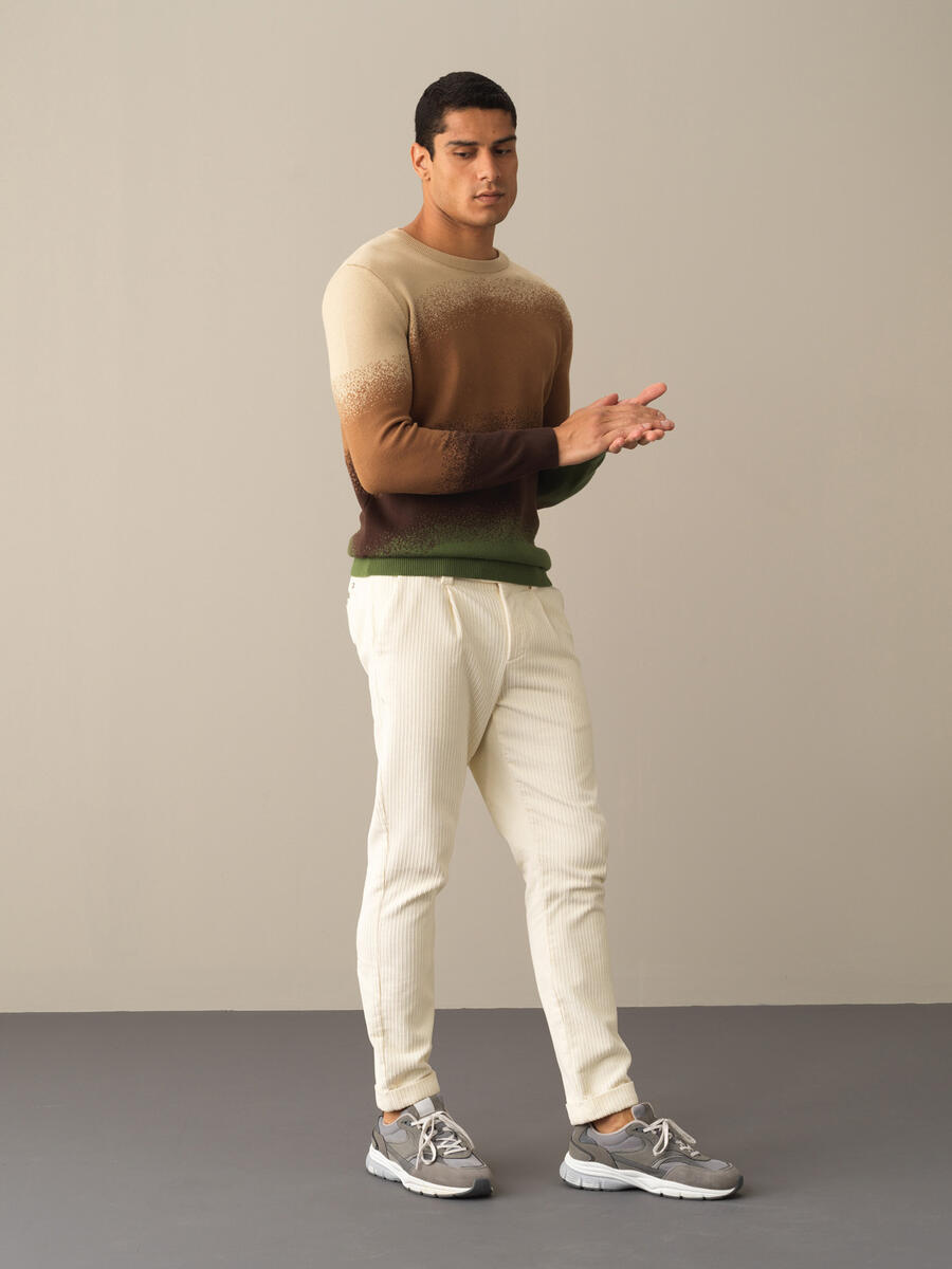 Crew Neck Cotton Regular Fit Sweater - 2