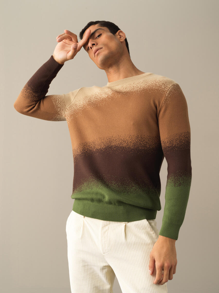 Crew Neck Cotton Regular Fit Sweater - 3