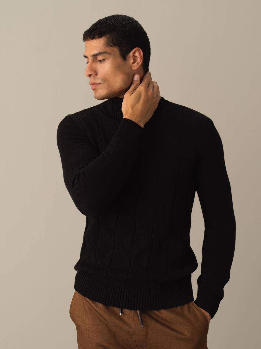 Fisherman Neck Cotton Regular Fit Sweater - 1