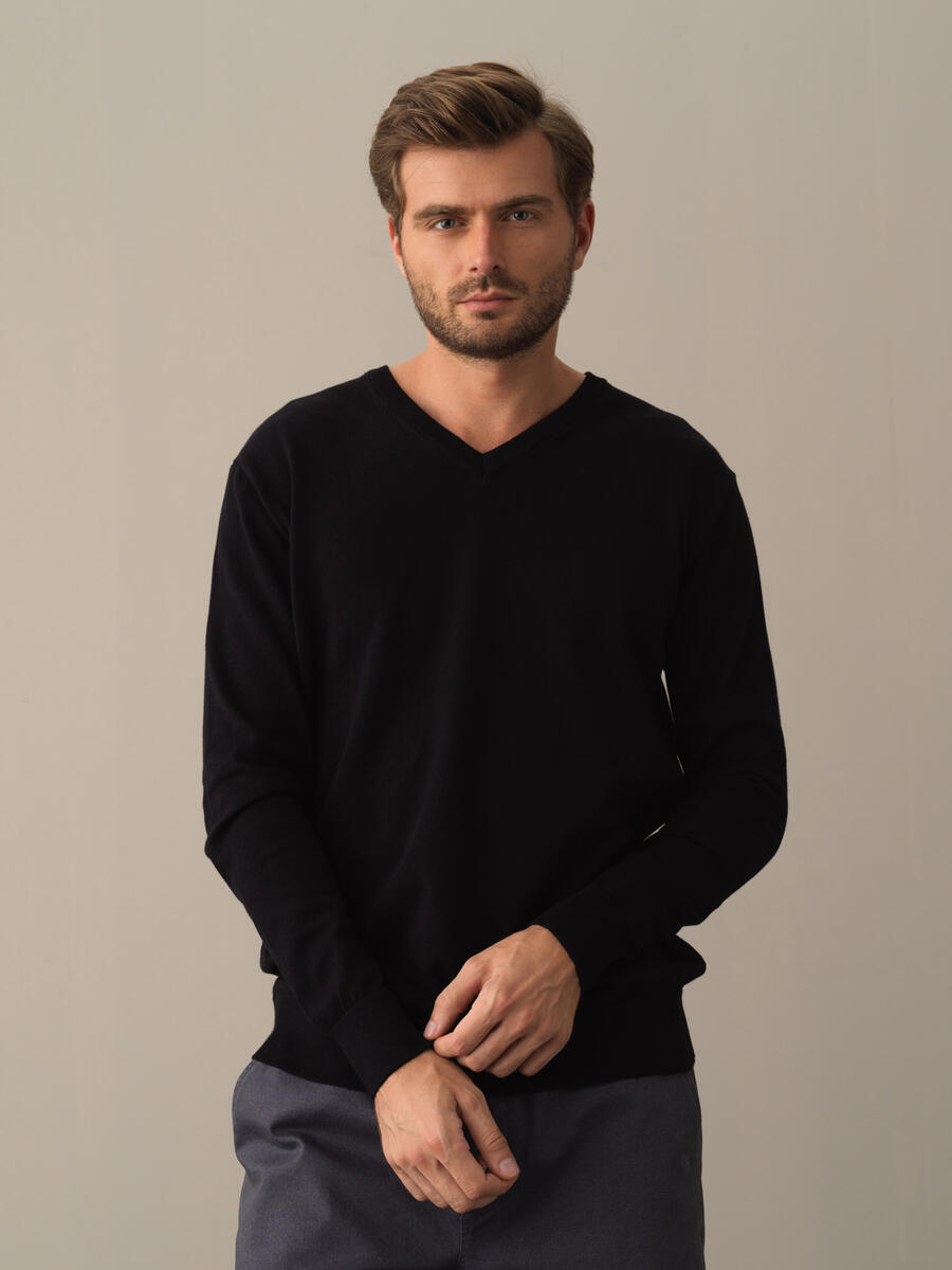 V-Neck Cotton Regular Fit Basic Sweater