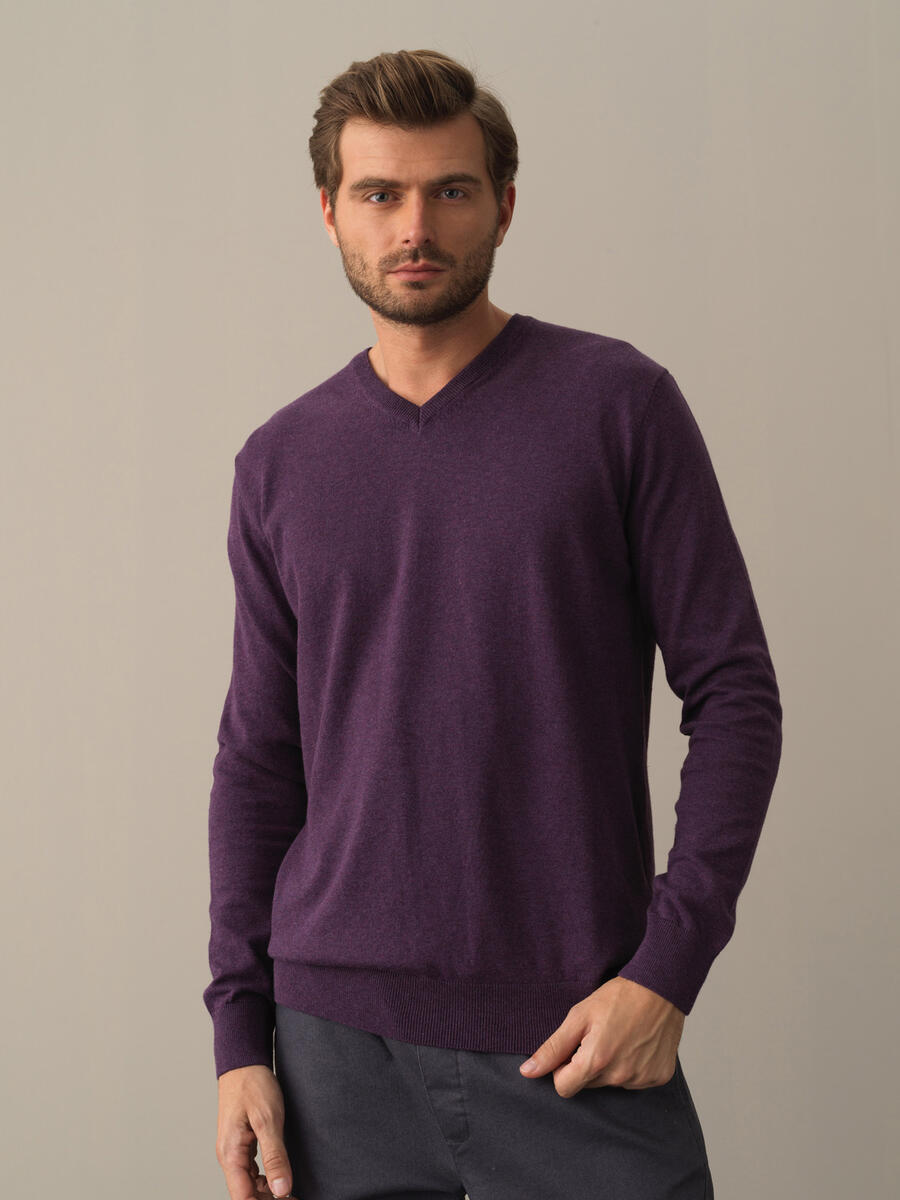 V-Neck Cotton Regular Fit Basic Sweater - 1