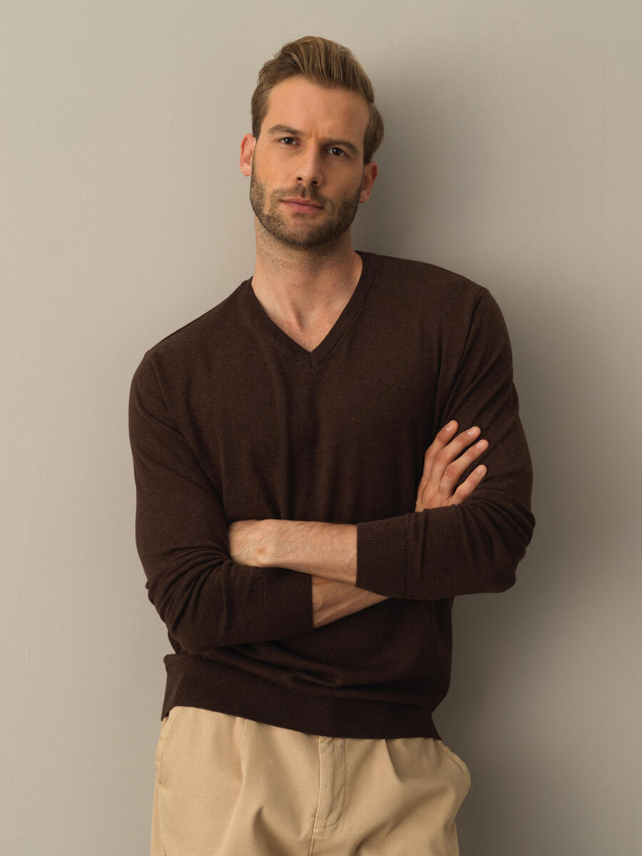 V-Neck Cotton Regular Fit Basic Sweater