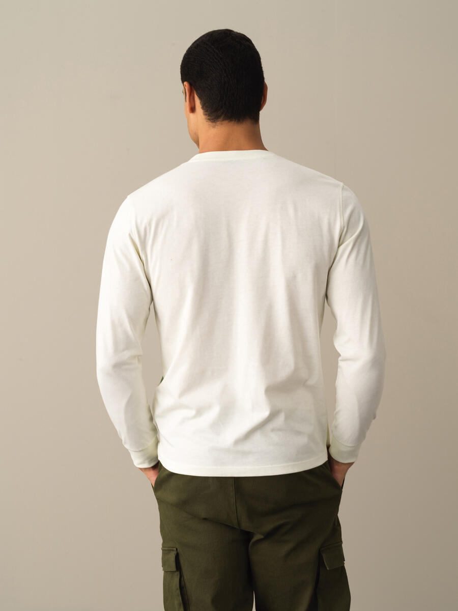 100% Cotton High Waist Regular Fit Shorts - 4