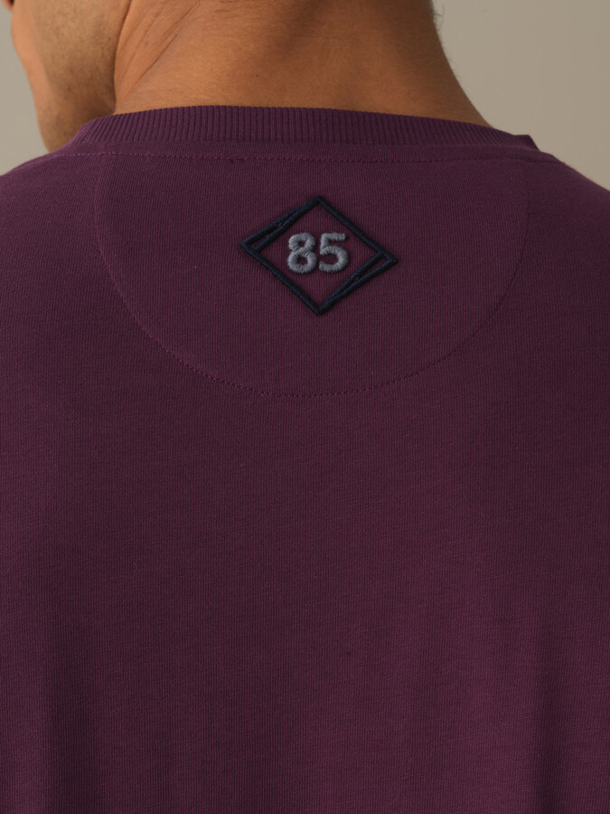 100% Cotton Regular Fit Knitted Shorts - Xint