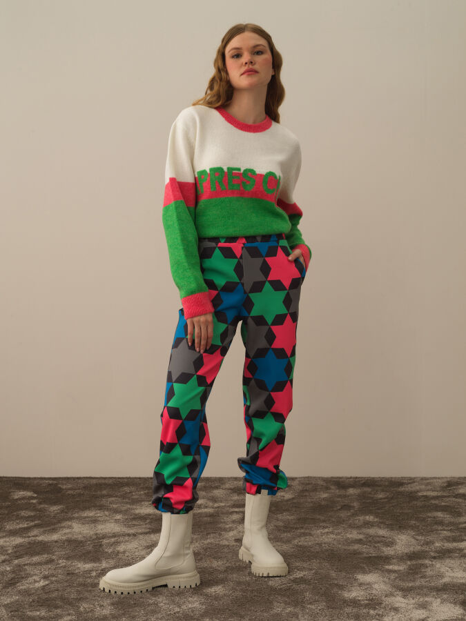 Regular Fit Panel Printed Pants - Xint