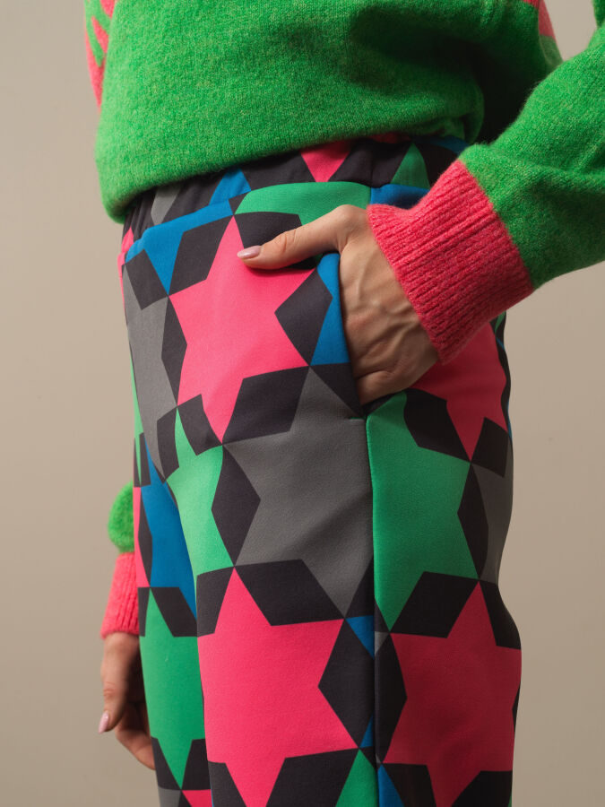 Regular Fit Panel Printed Pants - Xint