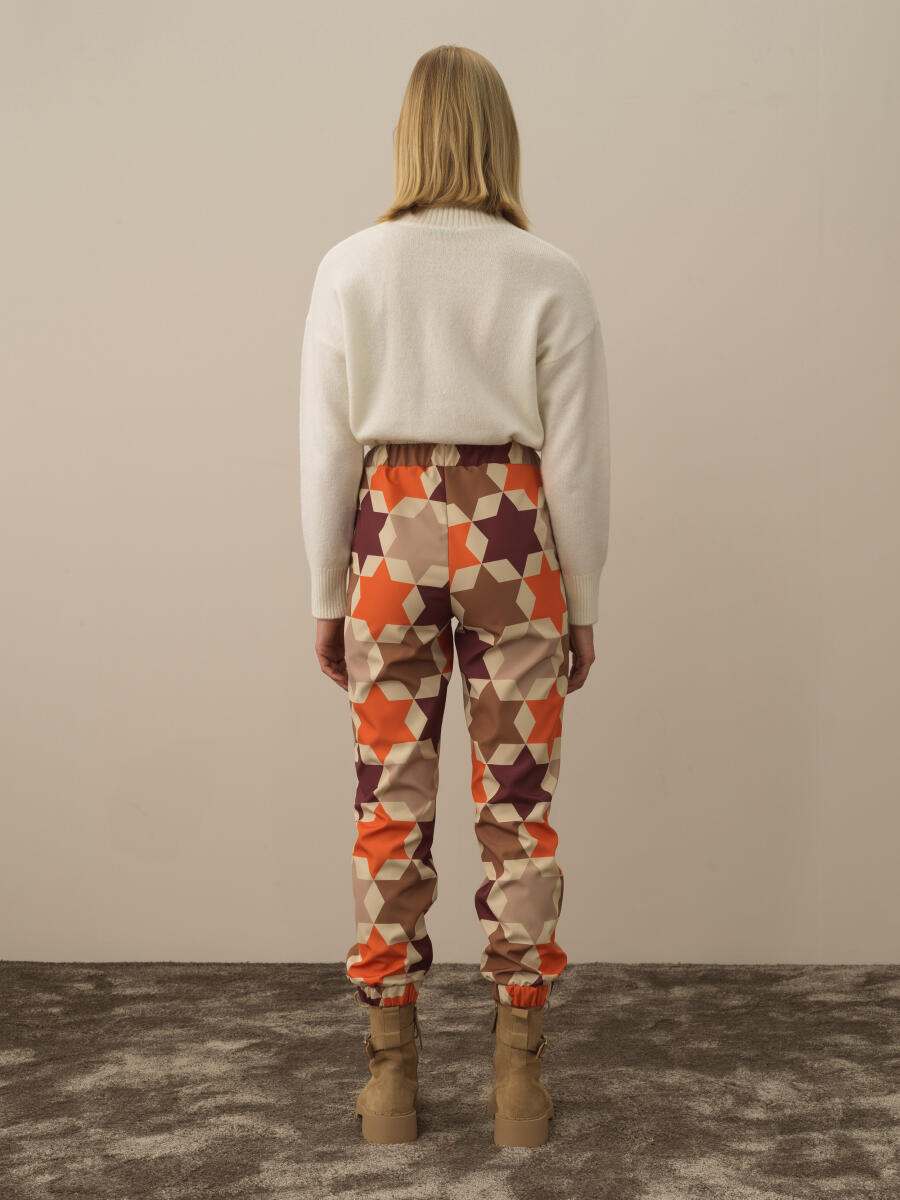 Regular Fit Panel Printed Pants - 3