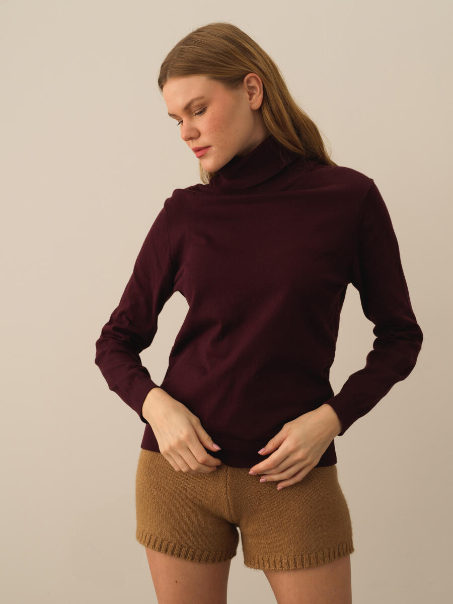 Turtleneck Regular Fit Basic Sweater