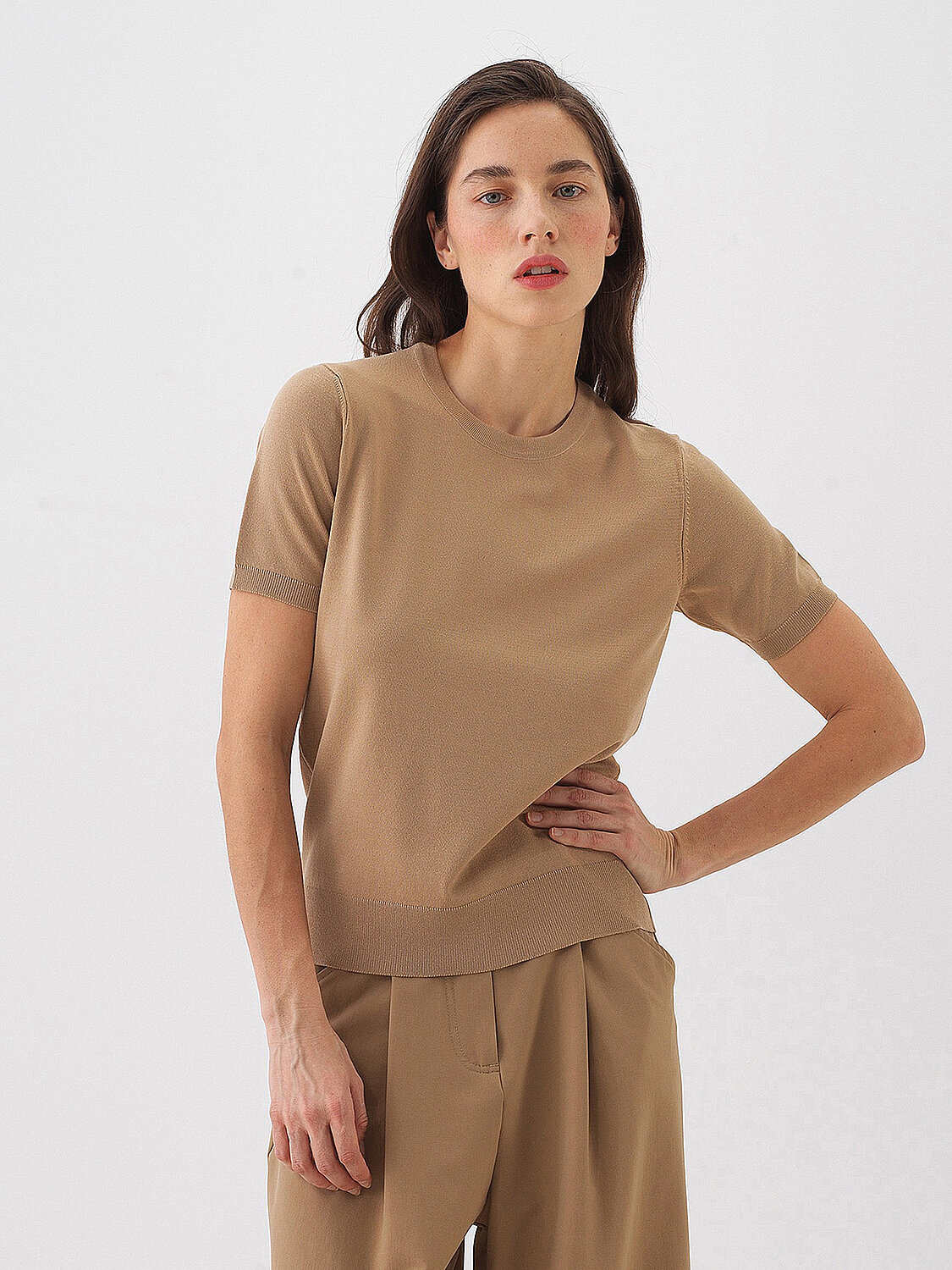 Camel Regular Fit Sweater