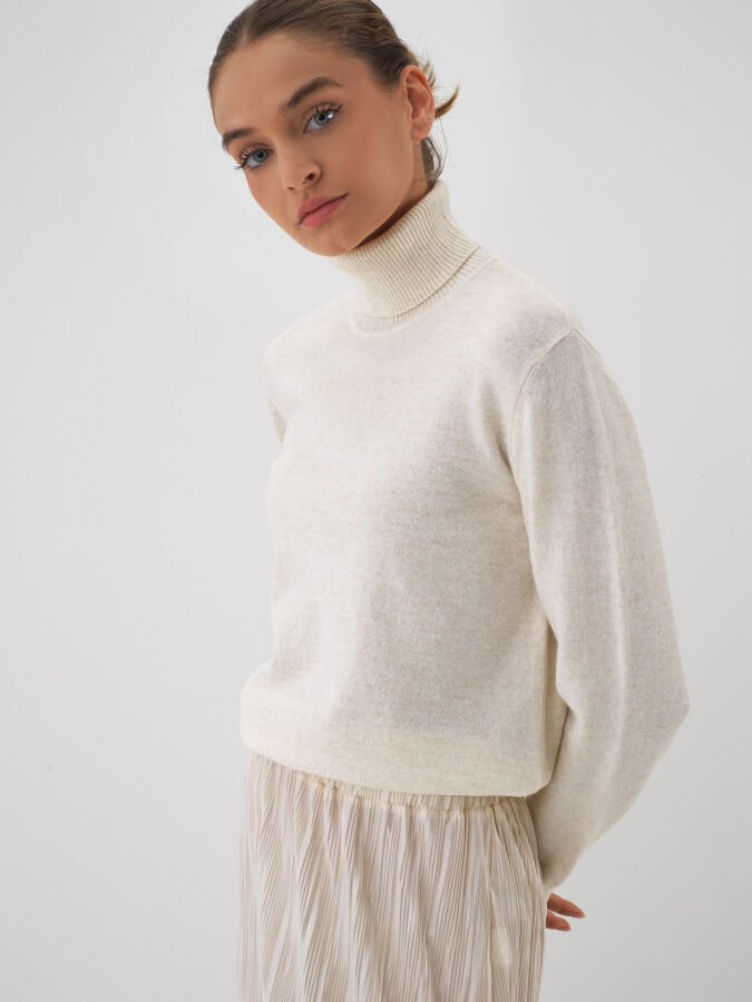 Wool Basic Turtleneck Sweater - Xint