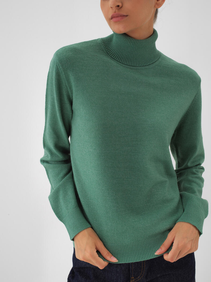 Wool Basic Turtleneck Sweater - 1